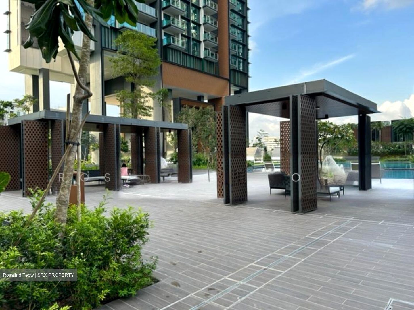 Normanton Park (D5), Apartment #503177471